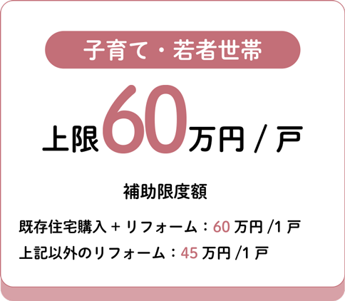 子育て・若者世帯　上限45万円