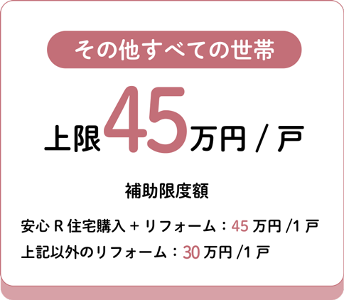 その他　上限30万円