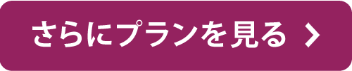 さらにプランを見る